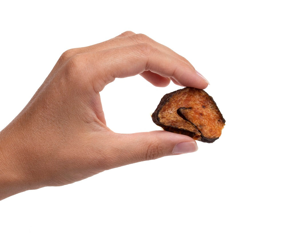 Salmon Sushi