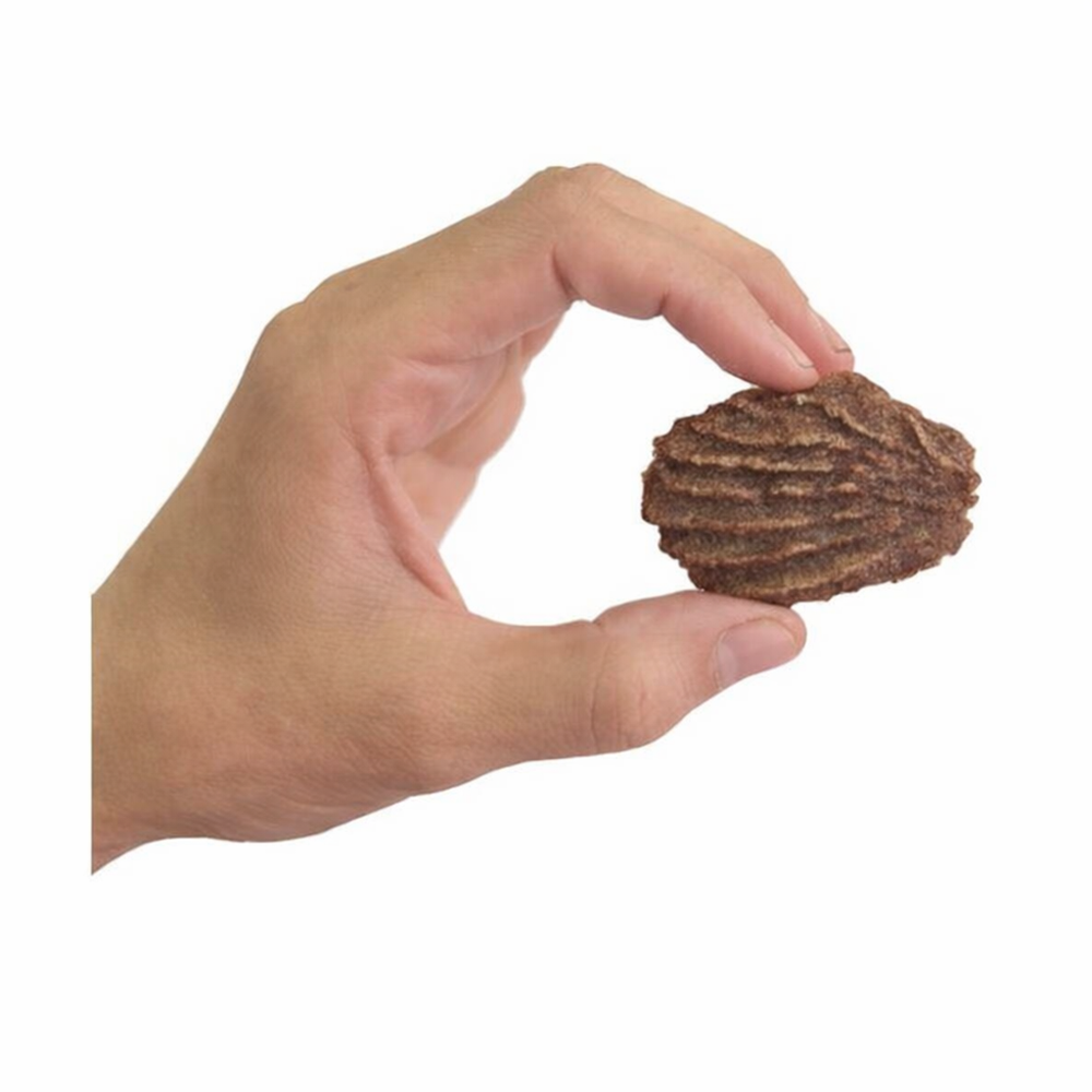 New!!! Beef & Coconut Cookies