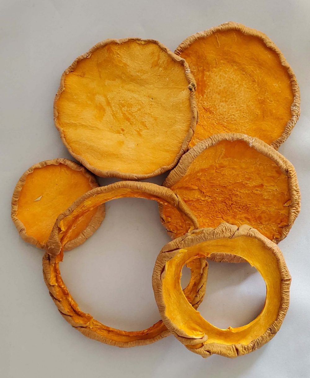 Butternut Squash