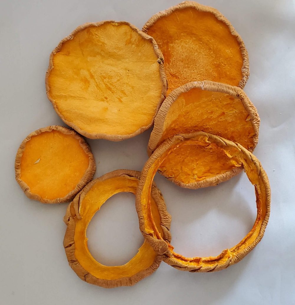 Butternut Squash